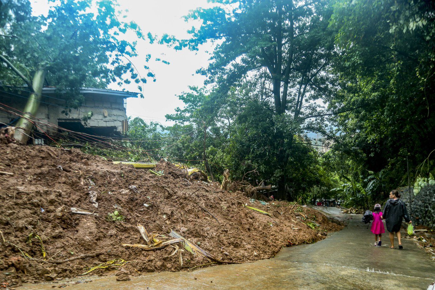 Typhoon Enteng Update: Agricultural Losses Continue to Rise, Relief Efforts Intensify