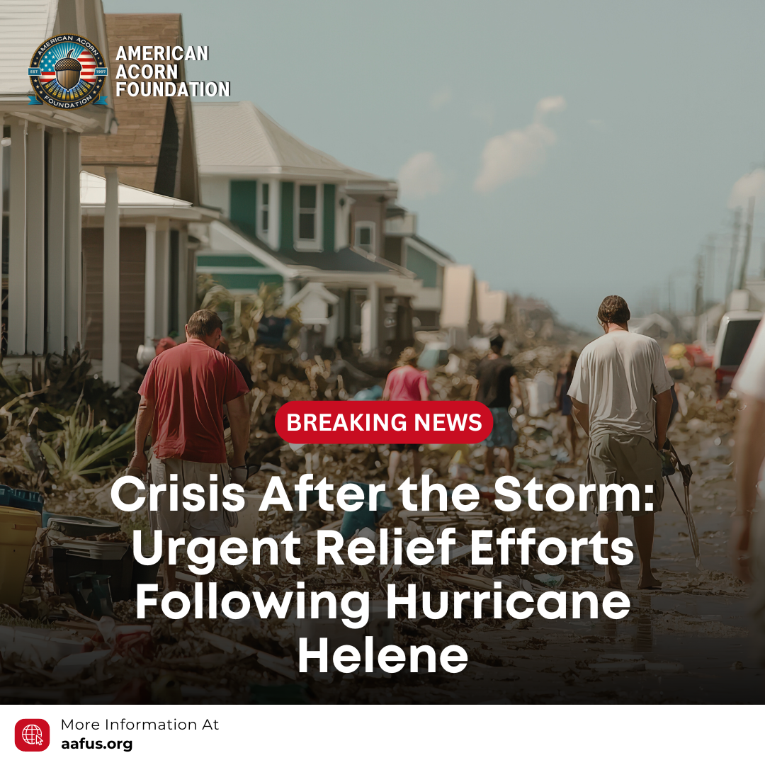 Crisis After the Storm: Urgent Relief Efforts Following Hurricane Helene