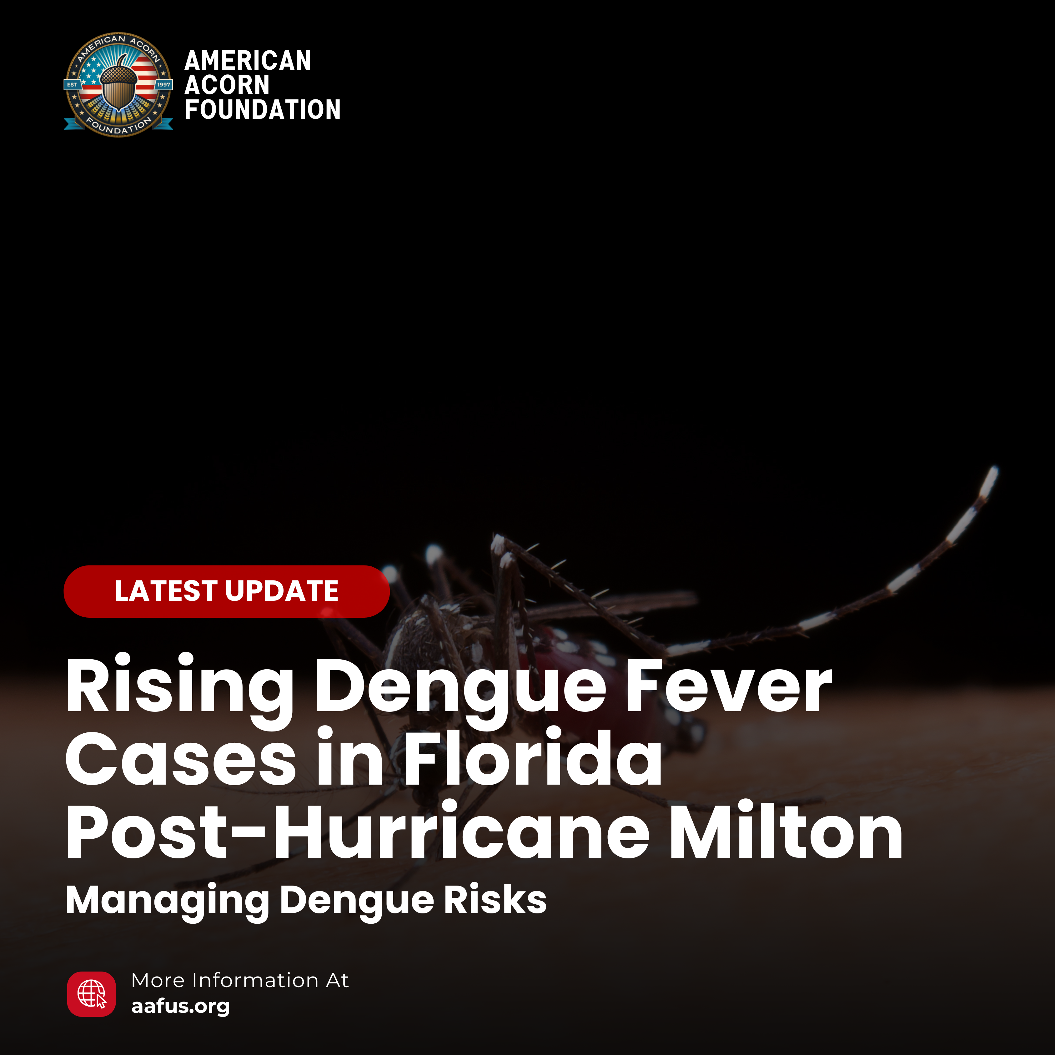 Rising Dengue Fever Cases in Florida Post-Hurricane Milton