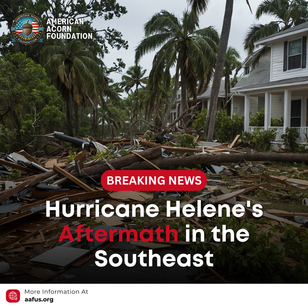 Hurricane Helene’s Aftermath in the Southeast