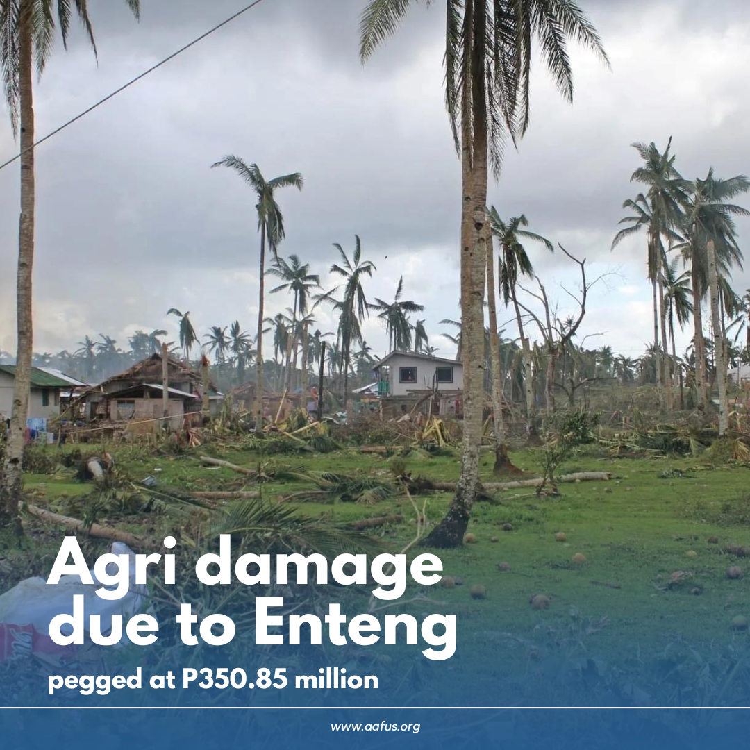 Agri damage due to Enteng pegged at P350.85 million